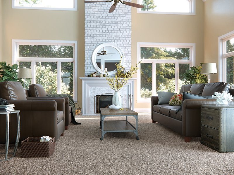 large living room with carpet floors - Americarpets of Layton, UT